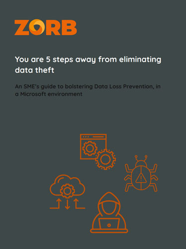 PDF Guide to eliminate data theft in 5 easy steps